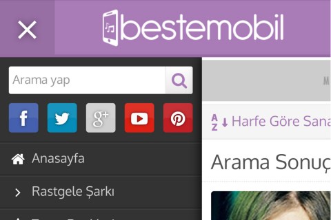 Beste Wordpress Teması v1.1
