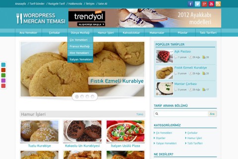 Mercan Wordpress Teması