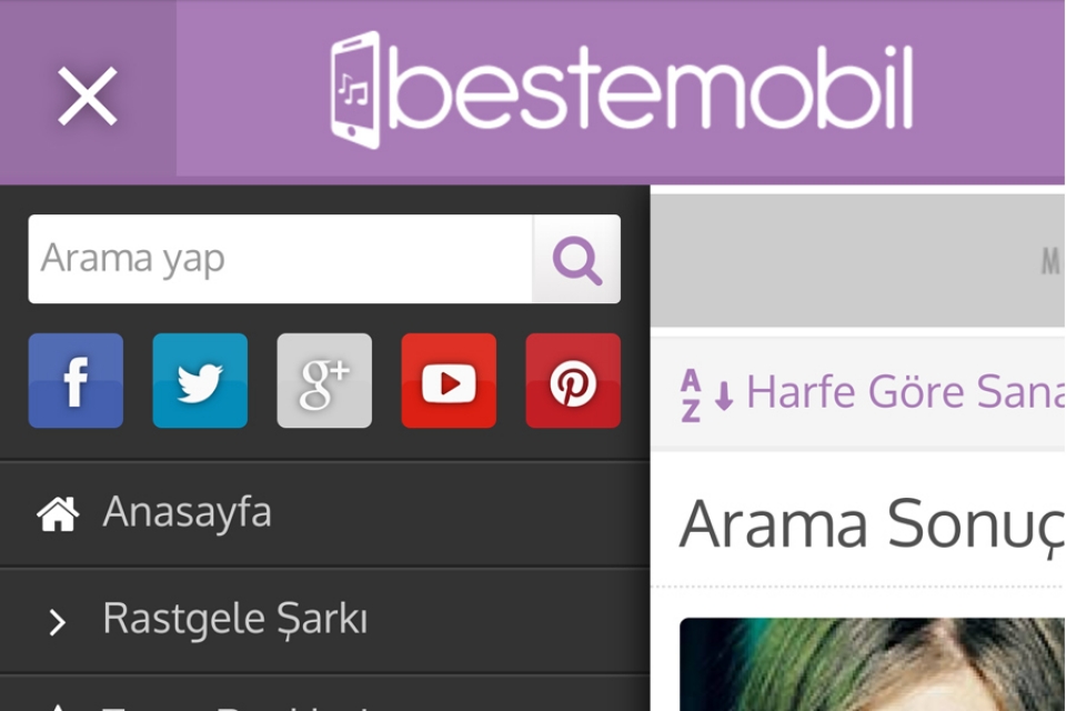 Beste Wordpress Teması v1.1